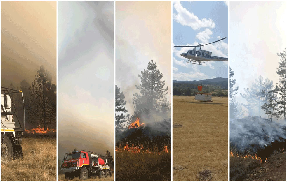 POŽAR NA MOKROJ GORI GUTA SVE PRED SOBOM: Gasi ga 100 VATROGASACA i ČETIRI helihoptera! (FOTO+VIDEO) 