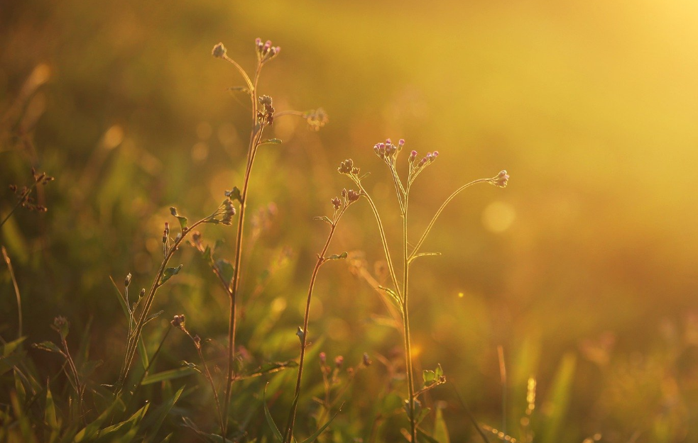 LEDENO JUTRO i ZUBATO SUNCE! Temperatura i do 17 stepeni, udara i košava