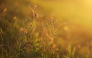 <span style='color:red;'><b>LEDENO JUTRO</b></span> i ZUBATO SUNCE! Temperatura i do 17 stepeni, udara i košava