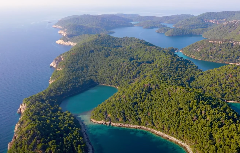 Koralni greben na Mljetu ugrožen klimatskim promenama