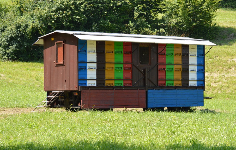 Srbija ima više od 1,1 milion košnica, prošle godine proizvedeno 15.000 tona meda