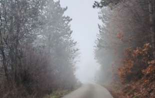 Maglovito jutro, tokom dana sunce: Najviša dnevna do osam stepeni