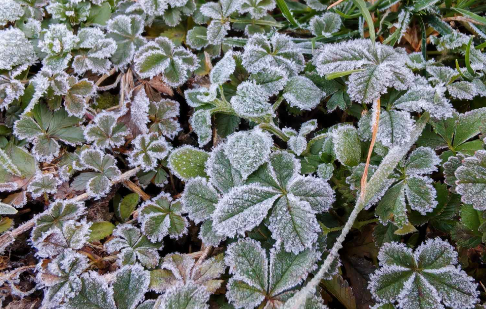 Poslednji dan 2025. godine donosi veoma hladno vreme