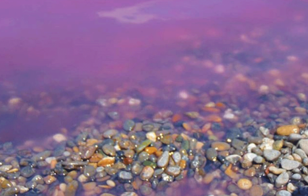 PRAVA MALA OAZA : Ne morate da idete iz Srbije da biste videli roze jezero (FOTO)
