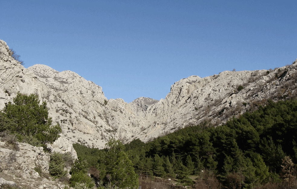 TRAGEDIJA U PAKLENICI: Mlada majka umrla pred svojim detetom
