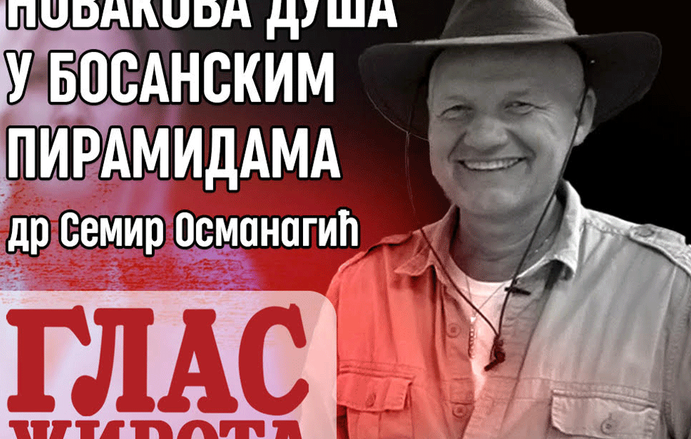 Antropolog <span style='color:red;'><b>Semir Osmanagić</b></span>: Postojanje energetskih fenomena i Novakova duša u Bosanskim piramidama (VIDEO)