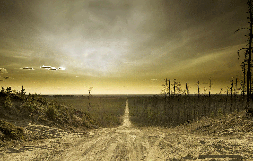 Naučnici upozorili: Blizu smo globalnog uništenja 