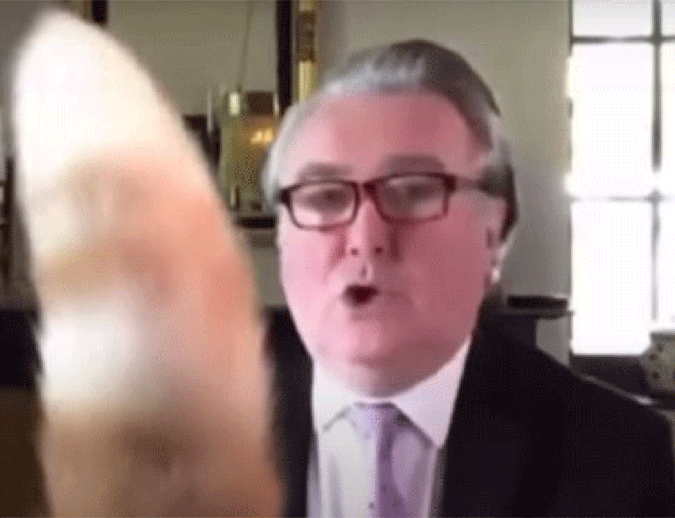 Mačak Britanskog parlamentarca postao HIT na društvenim mrežama: 'Roko, spusti rep, <span style='color:red;'><b>molim te</b></span>' (VIDEO)