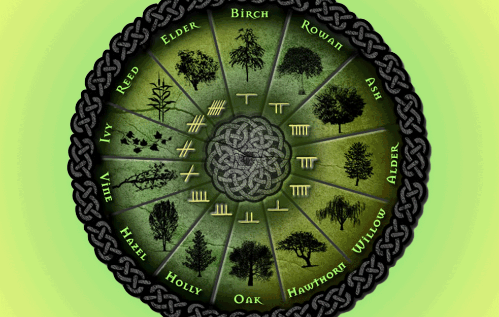 KELTSKI HOROSKOP! U kom drvetu živi vaša duša i šta ono predstavlja?