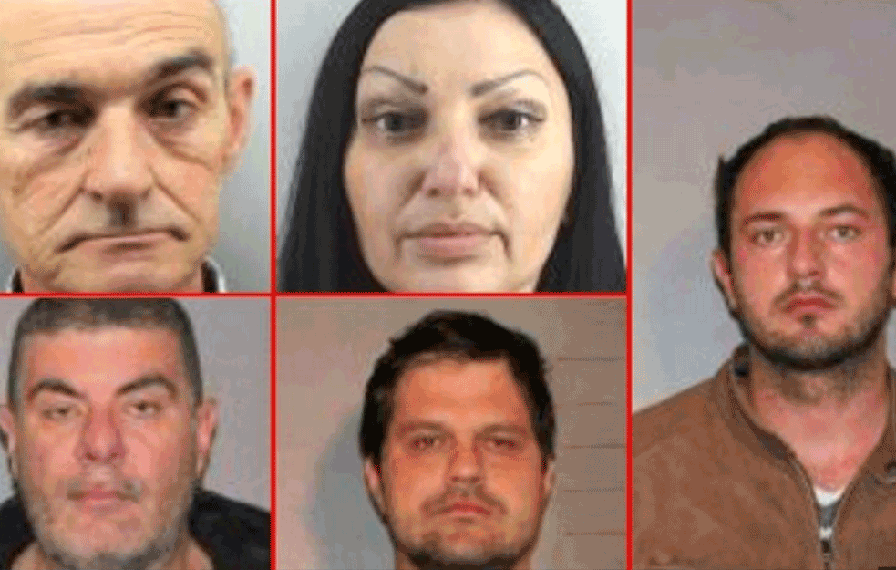 PALA <span style='color:red;'><b>ORGANIZOVANA GRUPA</b></span> U BEOGRADU: Obećavali narodu posao, falsifikovali legitimacije, držali oružje! (FOTO)

