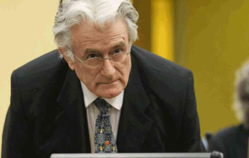 PETRONIJEVIĆ: Karadžić nije osuđen na teror