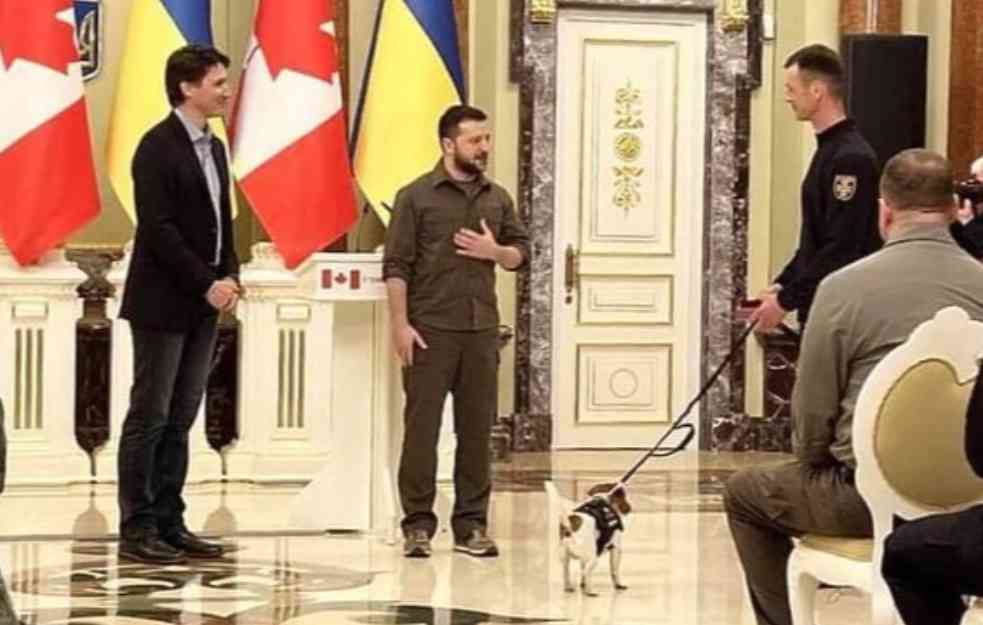 UKRAJINSKI PREDSEDNIK ODLIKOVAO PSA: Zašto je kratkonogi ljubimac dobio odlikovanje od Zelenskog? (VIDEO)