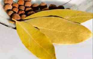 Lovorov list prelijte maslinovim uljem, dobićete dragocen prirodni lek