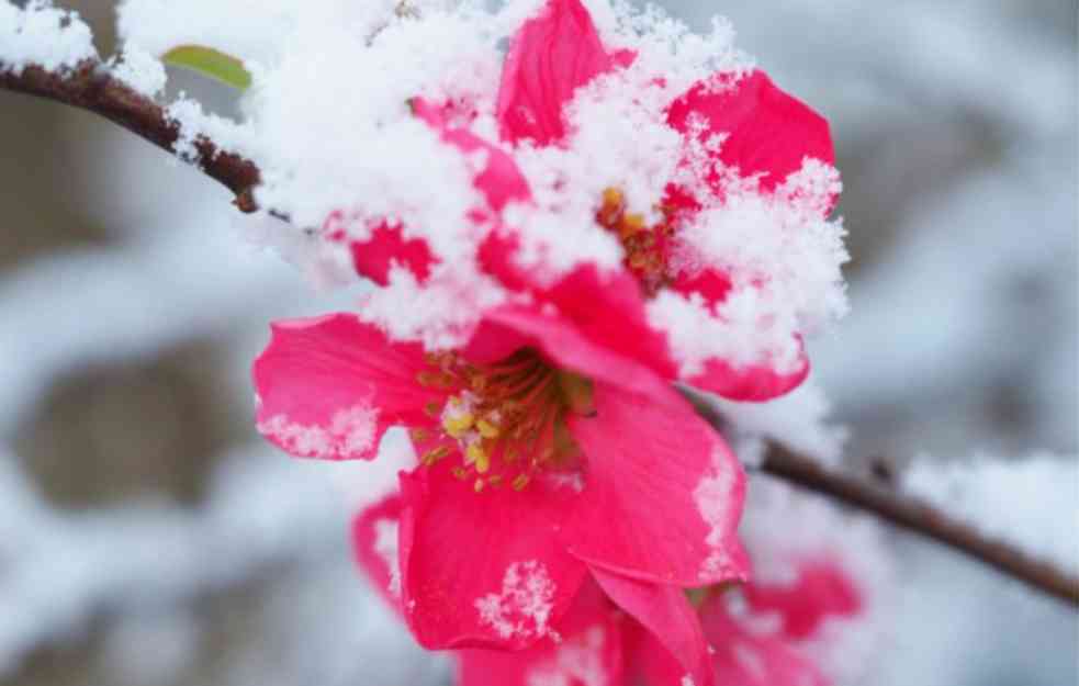 Opasnost od polarnog zahlađenja: Čeka se temperatura i do -35