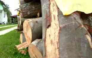 Šume stradaju zbog ogreva: Lane posečeno preko 3 miliona kubika drva
