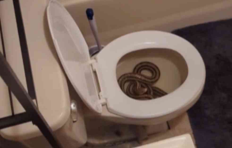 Otišla u WC i dobila nervni slom