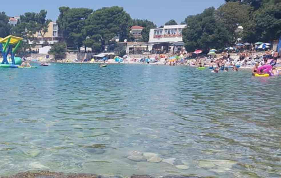 Ptica u plićaku na plaži u Banjolama napala dečaka, pokušavajući da odgrize njegovu masku za ronjenje
