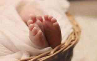BEJBI BUM U NOVOM SADU: Rođeno 17 beba, među njima i blizanci
