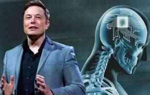 ,,<span style='color:red;'><b>Neuralink</b></span>