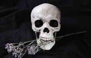 Berlin otkrio neobičan trend – grobljanski kafići postali popularna mesta okupljanja