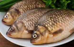 IMA RAZLIKE: Koja riba je najbolja za grilovanje, a kada treba da je pečete u rerni?