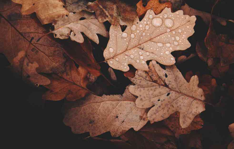 Zahlađenje iz Sibira stiže u Srbiju! Večeras nagli pad temperature