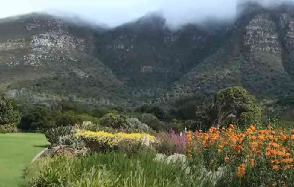Najveći botanički vrt na svetu je  Kirstenboscha