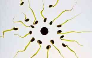TUGA: Visoki nivoi herbicida pronađeni u više od polovine uzoraka sperme