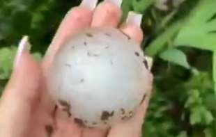 NEZAPAMĆENO NEVREME! GRAD VELIČINE PESNICE UNIŠTIO <span style='color:red;'><b>GOLUBAC</b></span>: Meštani sa modricama po telu, kuće kao da su gelerima IZREŠETANE! (VIDEO, FOTO)