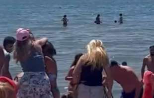 TUČA ŽENA OKO LEŽALJKI: Jedva su ih razdvojili (VIDEO)