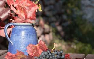 Vino za 102.000 evra: Najskuplja boca ikada i njeni <span style='color:red;'><b>posebni</b></span> razlozi