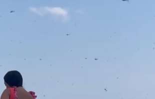 <span style='color:red;'><b>NAJEZDA</b></span> BUBA NA PLAŽI: Ljudi u panici bežali (VIDEO)