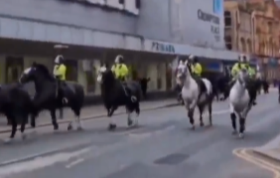 SUKOB U ENGLESKOJ: Policija izvela konjicu (VIDEO)
