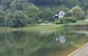 TRAGEDIJA NA JEZERU KOD ŠIDA! DVA MUŠKARCA SE UTOPILA: Komšija me pozvao i rekao: Dolazi, dave se! (VIDEO)