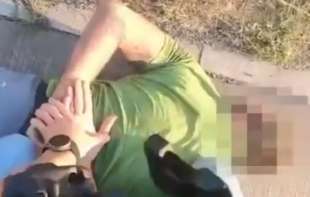 Uhapšeni Bečejci zbog gajenja psihoaktivnih pečurki