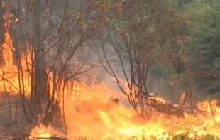 TRAGEDIJA! BRAČNI PAR IZGOREO U POŽARU KOD LJUBOVIJE: Pokušavali da ugase vatru, bežali u šumu!
