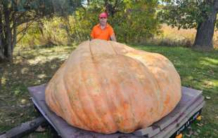 Ovo je Rudi - najveća bundeva na svetu teška više od 1.120 kilograma