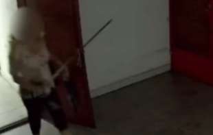 Žena maltretira stanare po zgradi (VIDEO)