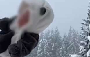 Bacio bebu u sneg: Sad ga traži policija, on se pravda da je lutka (VIDEO)