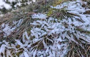 Jutarnji mraz i topliji vikend: Stiže promenljivo <span style='color:red;'><b>vreme</b></span> sa po<span style='color:red;'><b>vreme</b></span>nom kišom