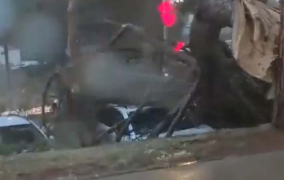 Stravično nevreme pogodilo Istru: Vetar čupao drveće, more podivljalo, u Rovinju opasno po život (VIDEO)