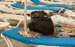 Ponela ručak na plažu, pa otišla da se kupa: Ono što ju je sačekalo je kao iz horor filma (VIDEO)