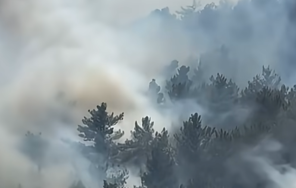 Požar besni na grčkom ostrvu Hios već 48 sati, vlasti izdale pozive za evakuaciju