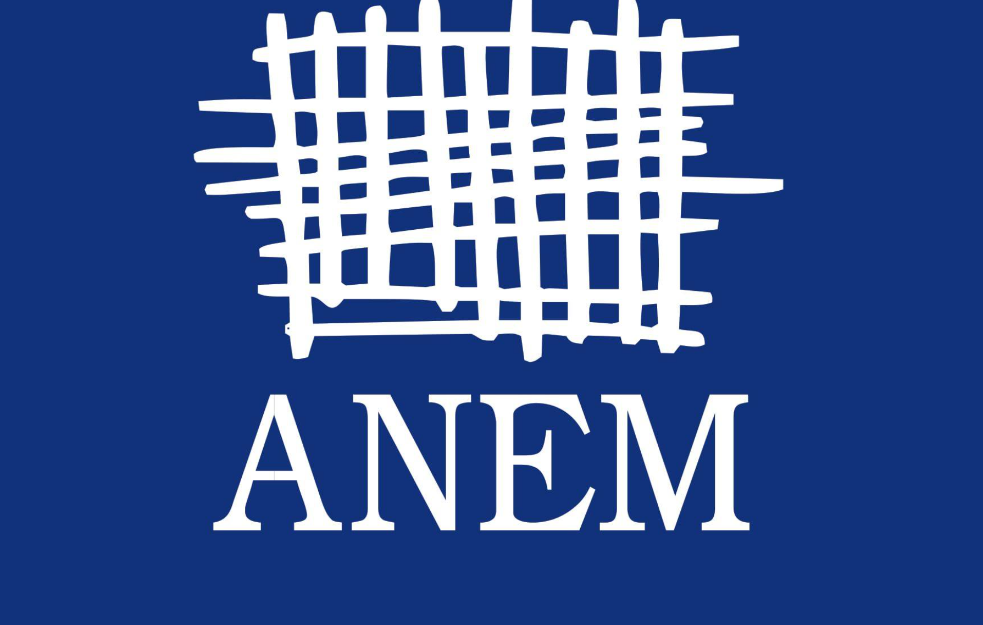 ANEM: Nedopustivo je sprečavanje novinara da izveštavaju sa obeležavanja Vidovdana ispred Skupštine