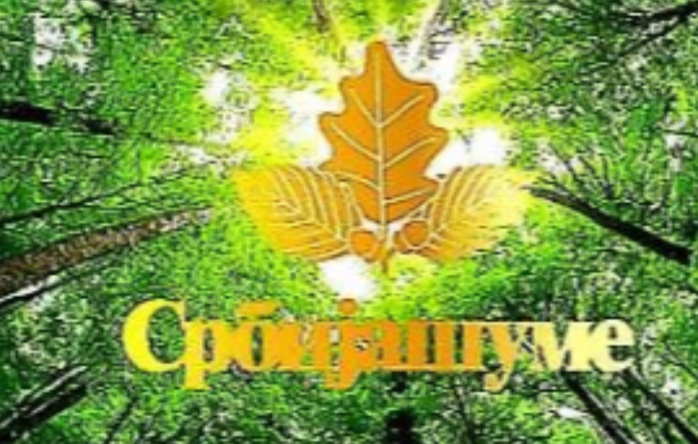  DEMANTI dipl. inž. šumarstva Jugoslava Jovanovića iz JVP 