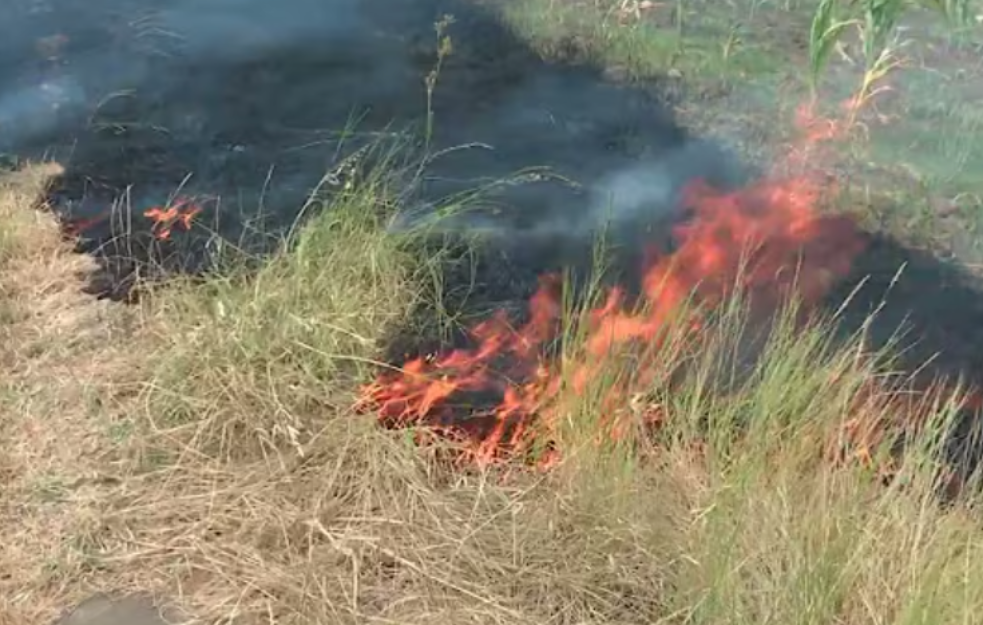 Požari ugašeni u šest sela Mionice, borba sa vatrom u Planinici i dalje traje