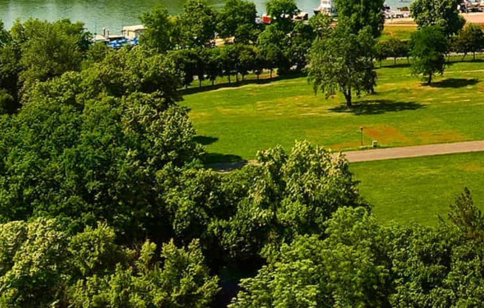 Ministarstvo finansija demantuje seču drveća na Ušću zbog gradnje muzeja i akvarijuma
