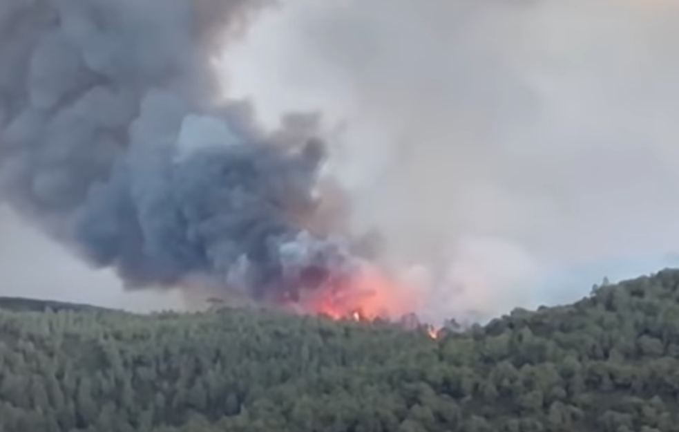 Evakuacija u Španiji zbog velikih šumskih požara      