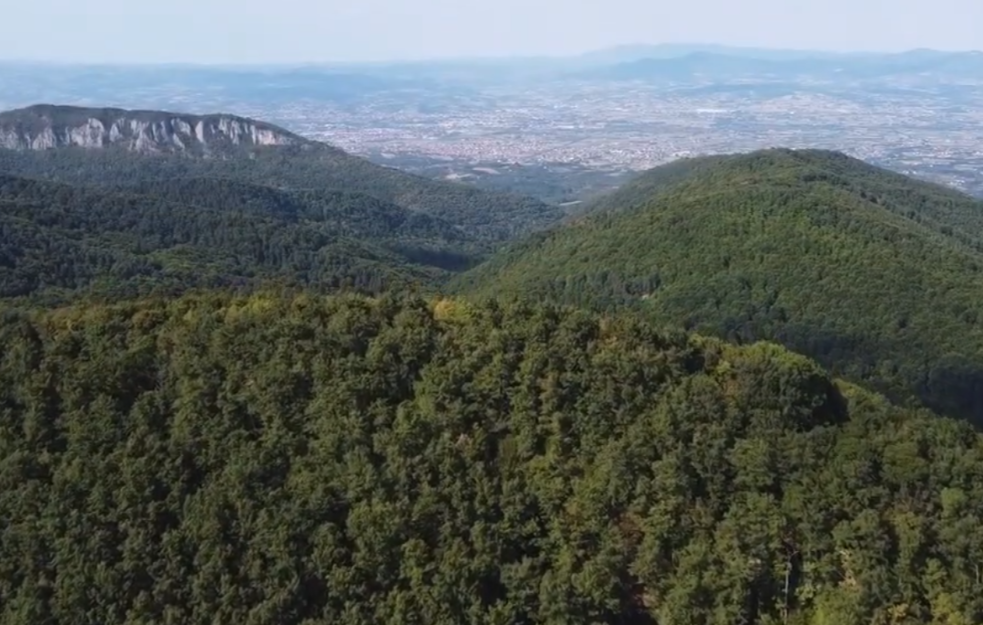 Planina Jelica novo zaštićeno područje