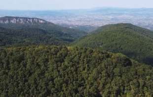Planina Jelica novo zaštićeno područje